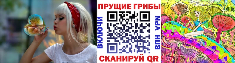 Псилоцибиновые грибы Magic Shrooms  Оса 